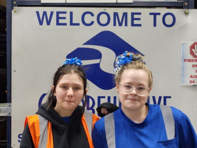 Watertown 30 Years Celebration Hair Decorations